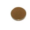 Extracto de Chaga 10:1 Extracto de Chaga en Polvo Soluble en Agua Extracto de Planta en Polvo Materia Prima de Grado Alimenticio en Stock con Envío Gratis