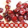 Pimenta de Guizhou Autêntica Ligeiramente Picante Extra Aromática Óleo de Pimenta Seca Hot Pot Picante Macarrão de Chongqing Especial 500g