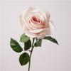 Alta Qualidade Cor de Outono Sensação Hidratante Rosa Corolla Novos Adereços de Fotografia Mesa de Jantar Decoração de Casa Interna Enfeites