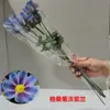 Decoración de Muebles para el Hogar Gesangju Simulada Flores Artificiales Atrezzo para Salón de Bodas Hotel Flor Gesang de Seda Impresa en Color 3D