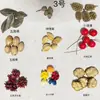 Fruta Fixa Natural Planta Fruta Casca Espécime Material Decoração Flores Secas Fatias Jardim de Infância DIY Pacote de Material de Natal
