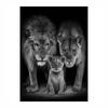 Mural de lienzo en blanco y negro con familia de leones africanos, póster, arte de pared para dormitorio, sala de estar, pintura decorativa moderna