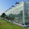 Proyecto de jardinería de flores en invernadero de vidrio, invernadero de flores de alta gama para aislamiento de paisajes, construcción de instalaciones de jardinería