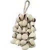 Campanillas de Viento Naturales Importadas de Indonesia Hechas de Cáscaras de Fruta con Documentación Completa, Nicho DIY, Artículos Dañados Devolubles/Intercambiables, Limpio, Agujeros Grandes de 0.2cm