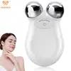 Instrumento de Belleza Popular Transfronterizo de Microcorriente para Ojos y Rostro Masajeador Rodillo Importado Portátil para el Hogar Masajeador EMS de Rostro en V