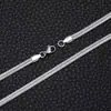 Collar de Cadena de Cuchilla Más Vendido Transfronterizo para Mujer Diseño de Nicho Acero de Titanio No se Desvanece Moda Simple Cadena para Clavícula Temperamento Mayoreo