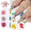 Nuevo estilo de flores secas para uñas, 6 rejillas rojas, girasol japonés, flor natural estrellada, decoraciones para uñas DIY
