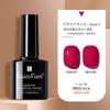 Manicura Cat Eye Glue 2024 Nuevo Set de Pegamento para Esmalte de Uñas Tienda Especial de Nail Art Pegamento de Fototerapia Color Popular de Celebridad de Internet Set Pequeño