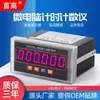 Instrumento de Pantalla Digital de Alta Precisión Temporizador Microcomputadora Csy-6 Temporizador Contador de Milisegundos 6 Dígitos 220V