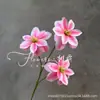 Magnólia de Múltiplas Cabeças Casamento Vermelho Materiais Florais, Flores e Folhas Artificiais, Hortênsia, Decoração Suave para Salão de Casamento, Arranjo de Corredor, Arranjo de Flores, Flores de Fundo
