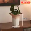Maceta de Plástico Acampanada para Sala de Estar, Escritorio Sencillo con Anturio Rojo y Planta Verde Árbol del Dinero, Maceta de Falenopsis