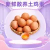 Huevos Frescos de GranjaHuevos Frescos de Granja de Henan, disponibles en paquetes de 6/8/10/20/30/40/50 piezas, huevos de ave de corral de color amarillo maíz
