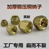 Aire Acondicionado Pulgada Junta de Niple Forjado Tapa de Tuerca Tubería de Aire Acondicionado Tubería de Aluminio Tuerca de Tornillo Tapa