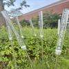 Atacado decoração de paisagem externa simulação lâmpada de junco atmosfera lâmpada solar vaga-lume lâmpada modelagem dente-de-leão quadrada