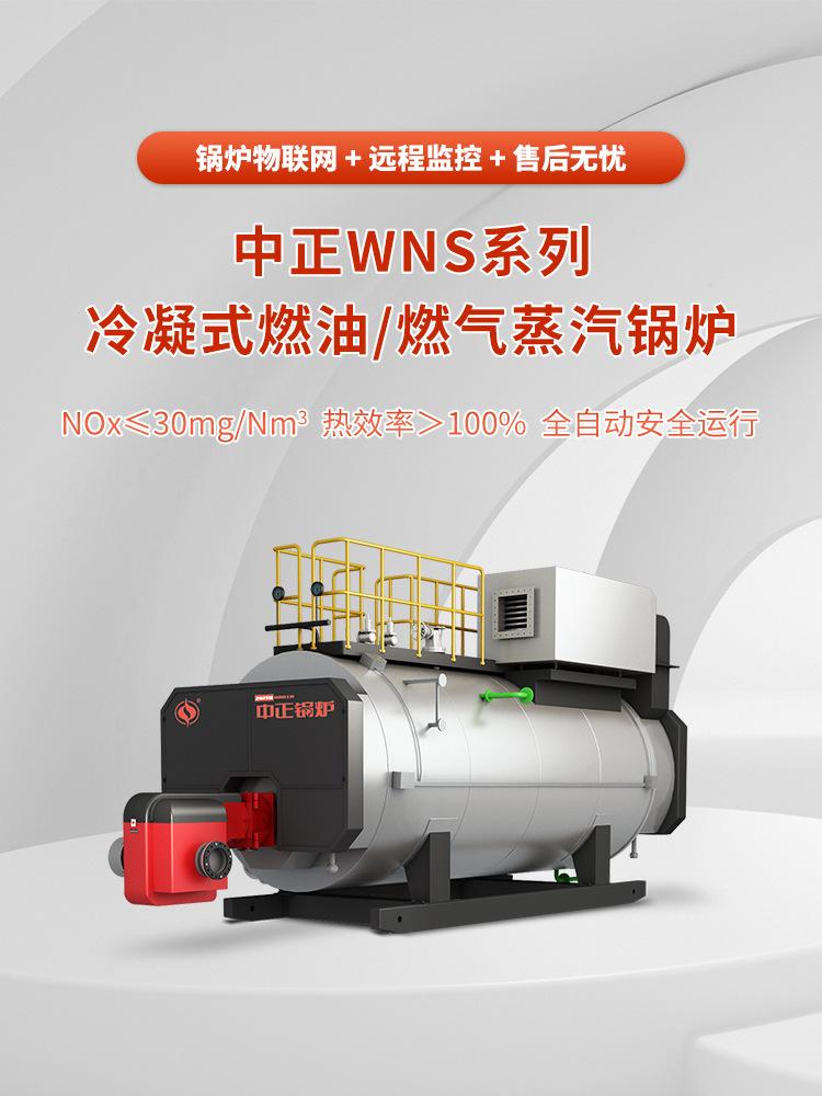 wns蒸汽_01
