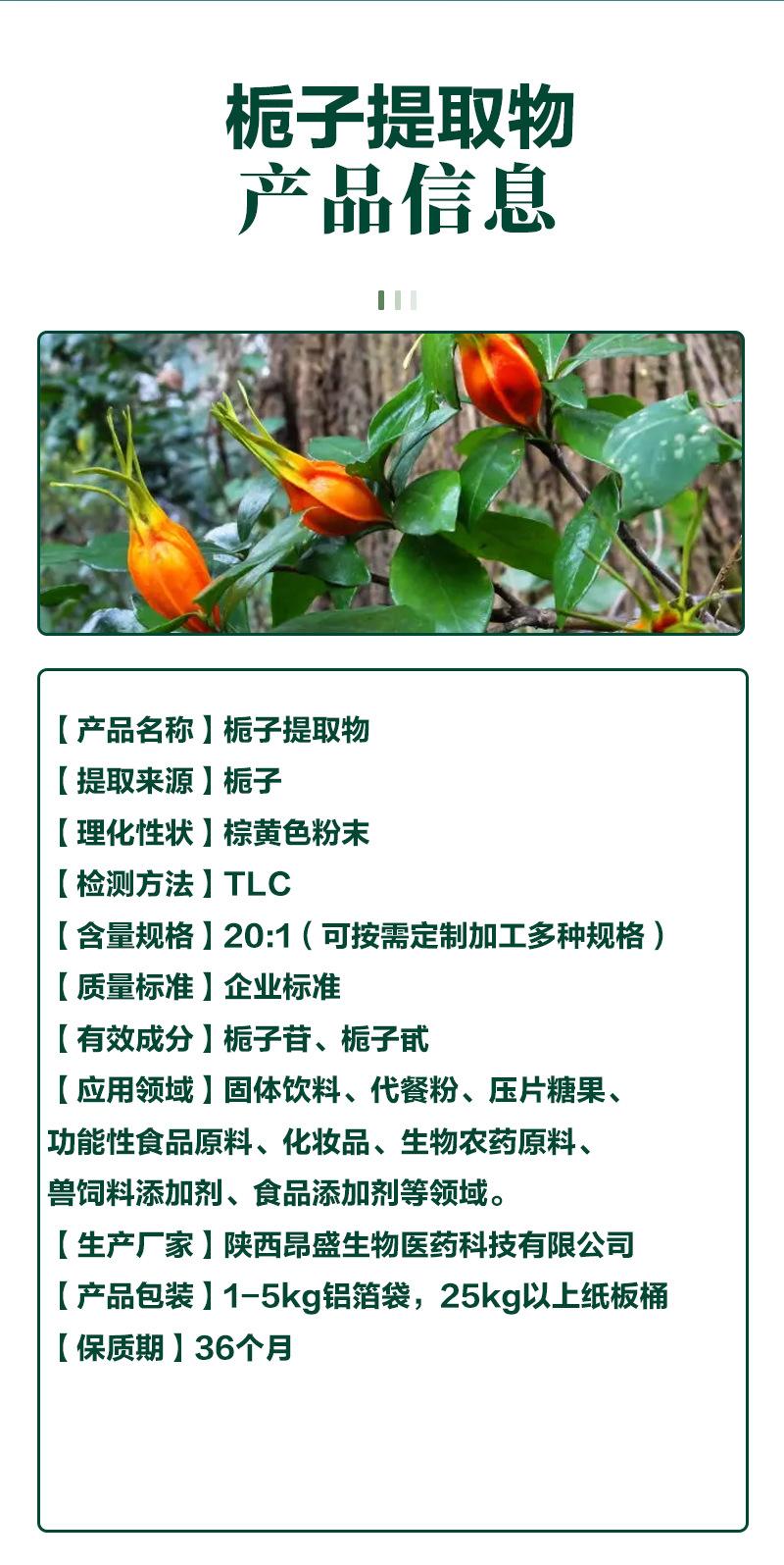 栀子文
