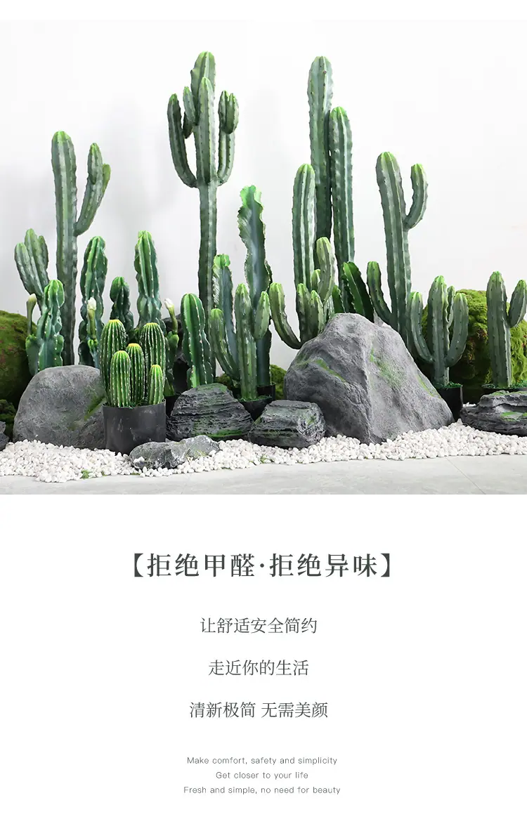 新款神龙木仙人掌系列_03.jpg