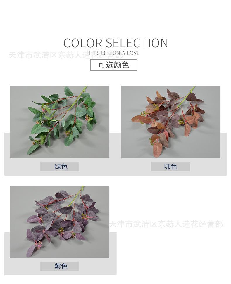 详情_02.jpg
