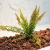 Hierba Sintética Plástica Tipo Helecho Hojas de Helecho Plantas Verdes Fondo Estilo Bosque de Interior Esquina de Plantas Decoración de Arreglo Floral