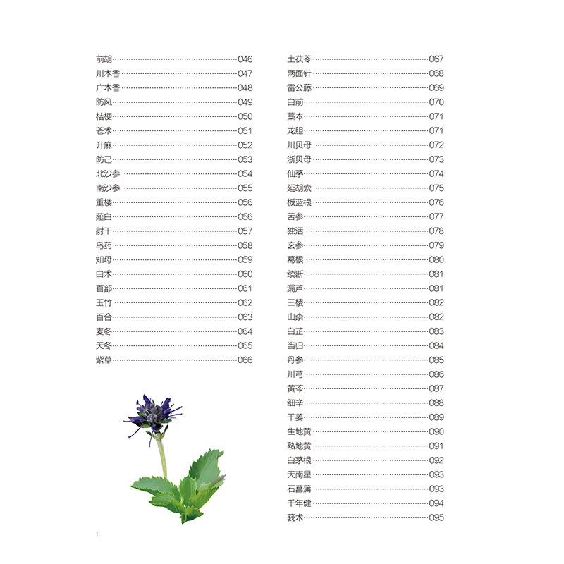 a9b8846a7c9cda77.jpg