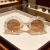 2026 Nuevas Gafas de Sol de Fiesta de Conchas para Niños Transfronterizas de Amazon con Elementos Marinos, Modernas Gafas de Sol de Cumpleaños en Stock