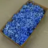 Flor Mágica Flor Eterna AB Anna Hortênsia 100g Aniversário Real Flor Diy Material Flor Seca Decoração Namorada Presente