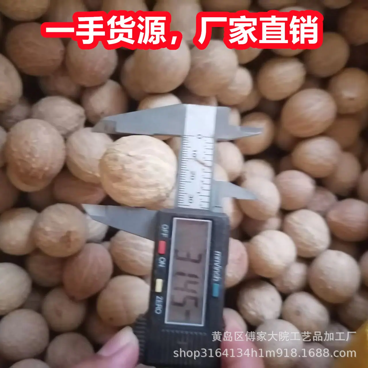 菩提根01.jpg