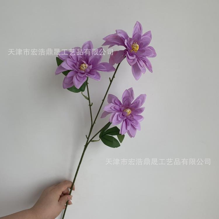 微信图片_20230811172727_副本