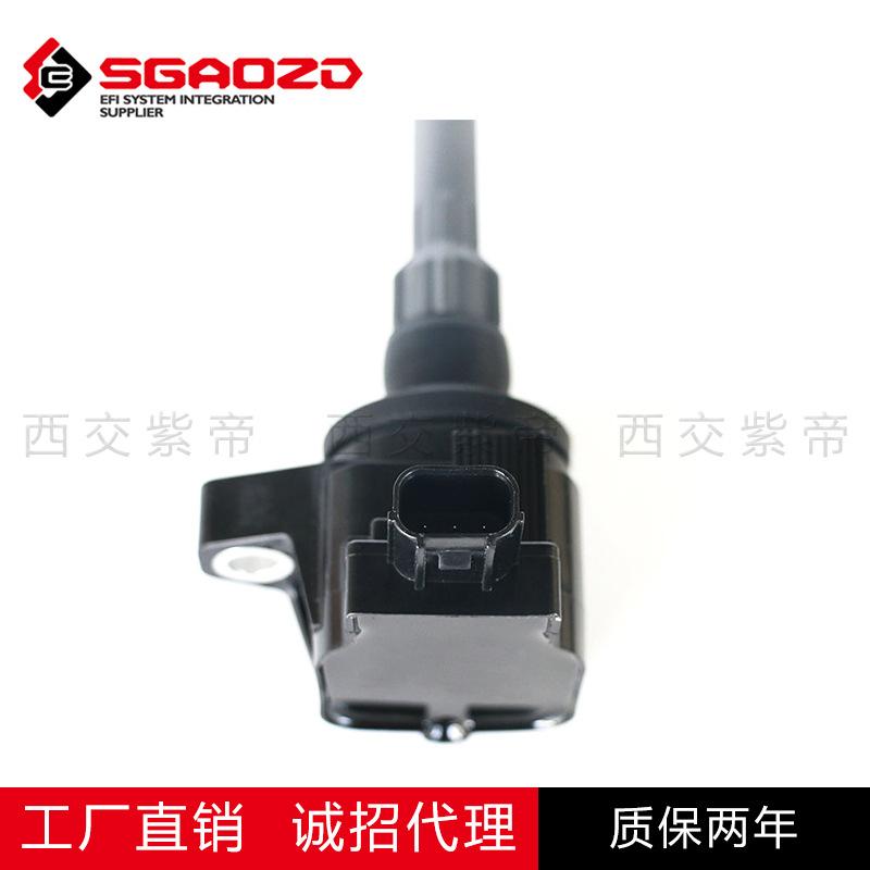 SD31303-1