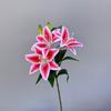 Flor Artificial Lirio del Sol 3D Ramo Falso Producto Terminado Flor Individual de Alta Gama en Stock Flor Falsa Arreglo Floral de Piso para Bodas Se Puede Enviar en Nombre de Otros