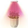 Luz de Crecimiento para Plantas Anillo de Ángel USB Temporizada Regulable Luz Suplementaria para Plantas Verdes y Plantas en Maceta Luz Suplementaria para Plantas Verdes de Interior