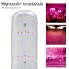 Luz LED de Crecimiento para Plantas Plegable de Cuatro Hojas Transfronteriza E27 espectro completo púrpura luz de plantación carnosa para flores
