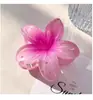 Nuevo pasador de pelo acrílico de frangipani de colores, pinza de flor, accesorio para el cabello elegante y sofisticado para mujer, pinza de tiburón lateral