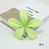 Headdress de Flor Orquídea Flamejante Flor de Pulso Making Chapéu de Formatura Chapéu de Sol Decoração Bauhinia Simulada Pacote de Material com Flores