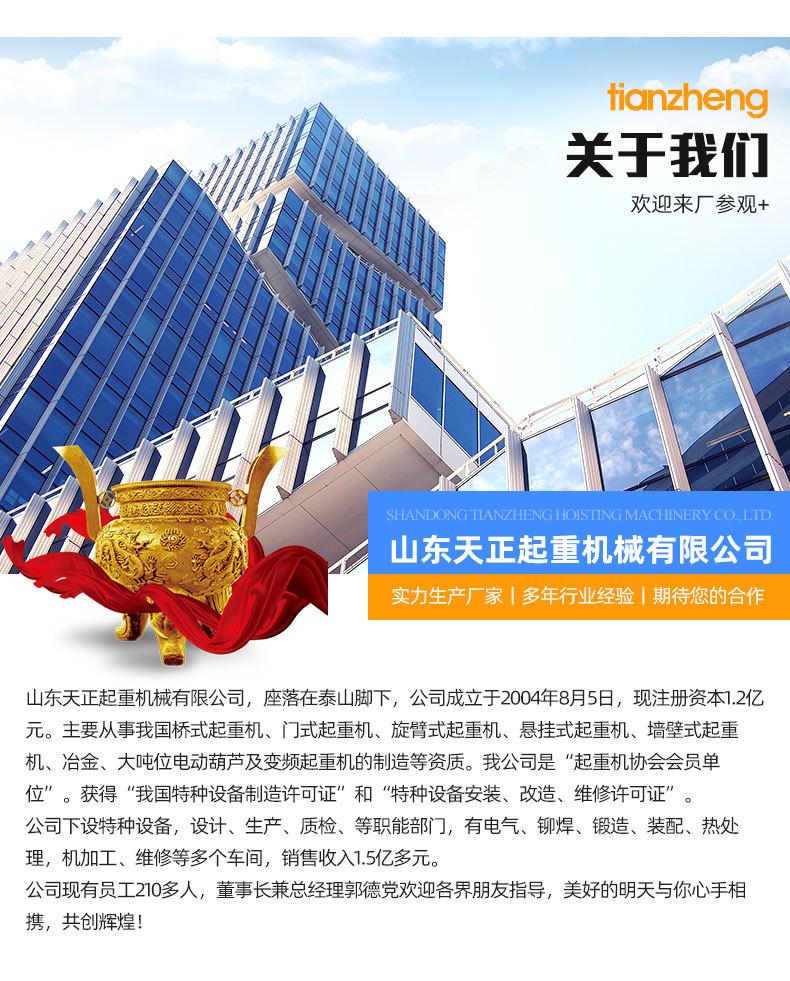 4微型运行式电动葫芦1_14.jpg