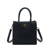 Bolso de Mano Cuadrado Pequeño Elegante y con Estilo para Mujer 2025 Nuevo Bolso Tote Mini Simple Bolso de Hombro Bolso Bandolera para Mujer