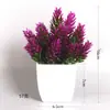 Plantas Simuladas de Venta Caliente Transfronteriza, Plantas Falsas, Plantas Verdes, Decoración para Interiores y Exteriores, Plantas en Maceta de Plástico, Pequeñas Plantas en Maceta de Eucalipto