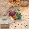 Manicura Monet Flor Seca Estilo Japonés Fresco Gestapa Girasol Mixto Flor Real Pequeña Caja de Uñas Floral Decoración