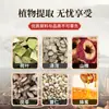 Parche Miel para el Vientre, Parche de Cuidado de la Salud Qianzi, Parche de Miel con Fórmula Herbal para Puntos de Acupuntura, Parche Perezoso, Parche Ligero, Fabricante Original