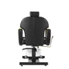 Cadeira de Cabeleireiro, Cadeira para Pedicure, Cadeira de Pedicure Transfronteiriça, Cadeira Massageadora de Pés com Levantamento e Rotação, Sofá Multifuncional para Pedicure, Cadeira para Lavar os Pés