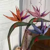 Novo Estilo Ave-do-Paraíso Planta de Borracha Macia para Decoração de Casa, Design de Espaço, Flores Artificiais para Casamento Atacado, Flores Artificiais