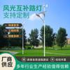 Iluminación vial integrada energía eólica farola solar viento complementario luz solar fabricantes mayoreo