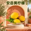 Sichuan Anyue Limón Amarillo Dropshipping 1/2/3/5 Jin Pulpa Amarilla Fruta Grande Tienda de Té con Leche Caja de Regalo Comercial Fruta Fresca