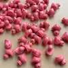 Patinho Luminoso Transfronteiriço, Miniatura de Animal Realista, Brinquedo de Patinho Brilhante para Micro-Paisagismo, Decoração de Cola Cremosa