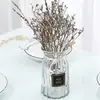 Vaso Ornaments Europeus Nórdicos Sala de Estar Vidro Transparente Minimalista Cultura da Água Arranjo de Flores Recipiente para Flores Secas Hidropônicas Decoração com Flores Frescas