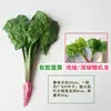 Modelo de Verdura Simulada Lechuga Falsa Repollo Brócoli Hojas Verdes Hojas de Shanghái Modelo de Gabinete Decoración para Casa