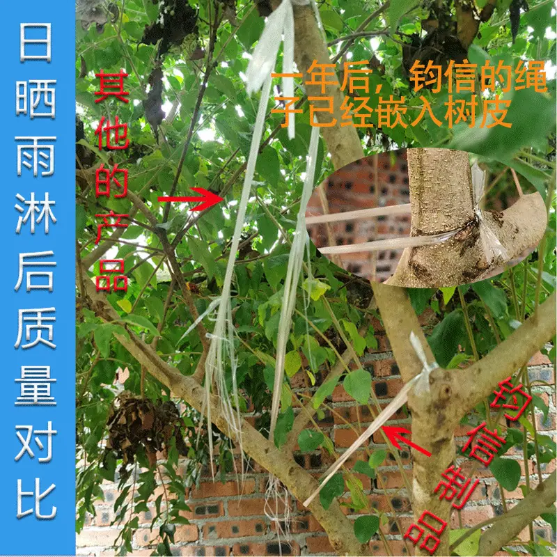 微信图片_2025-08-05_172252_074