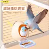 Juguete de cáscara de huevo de loro para agapornis y cacatúas, Juguete de cáscara de huevo comestible para pájaros, Tazón de snacks para entretenimiento y juego interactivo