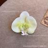 Cabeza de Flor de Phalaenopsis de Película Artificial Impresa en 3D Horquilla para el Cabello de Celebridad de Internet Souvenir de Boda Caja de Dulces de Boda Flores Falsas Decoradas a Mano