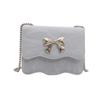 Bolso Pequeño 2024 Nuevo Mariposa Hermoso Bolso de Mano Casual Personalidad Moderno Bolso Cuadrado Pequeño Bolso Bandolera de Cadena